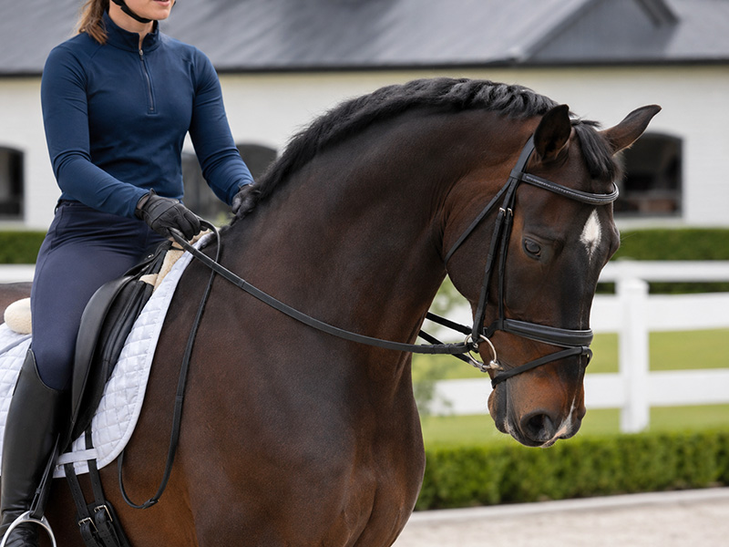 dressagecontreins
