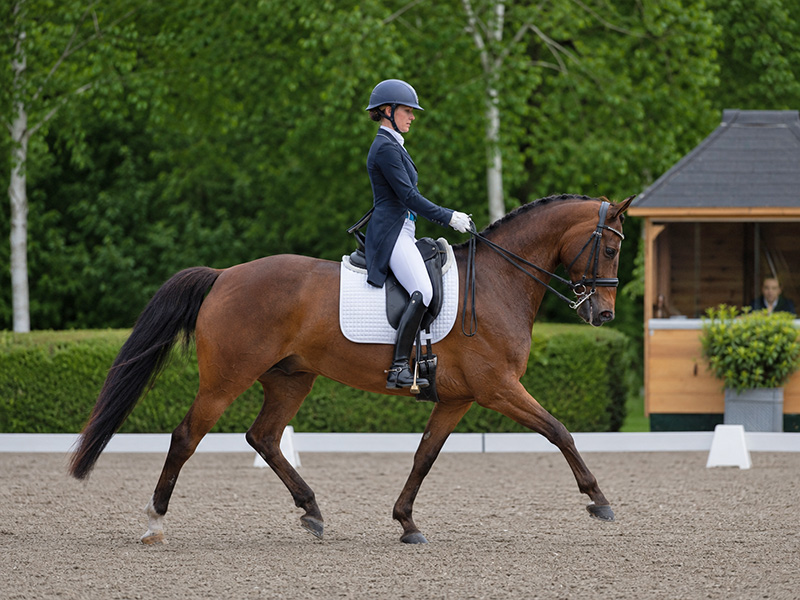 eventingadressage