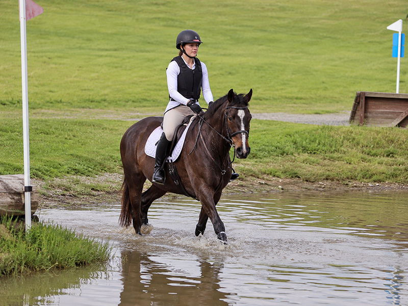 eventingaentrylevel
