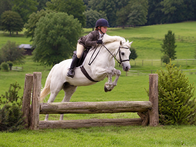 eventingakidlog