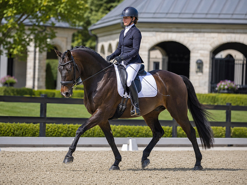 ottbdressage