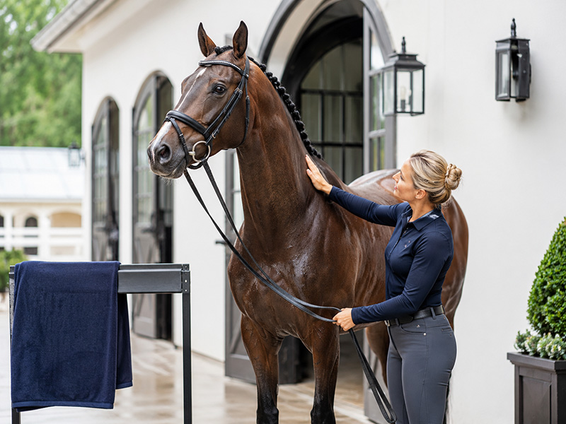 fecalperformancehorse