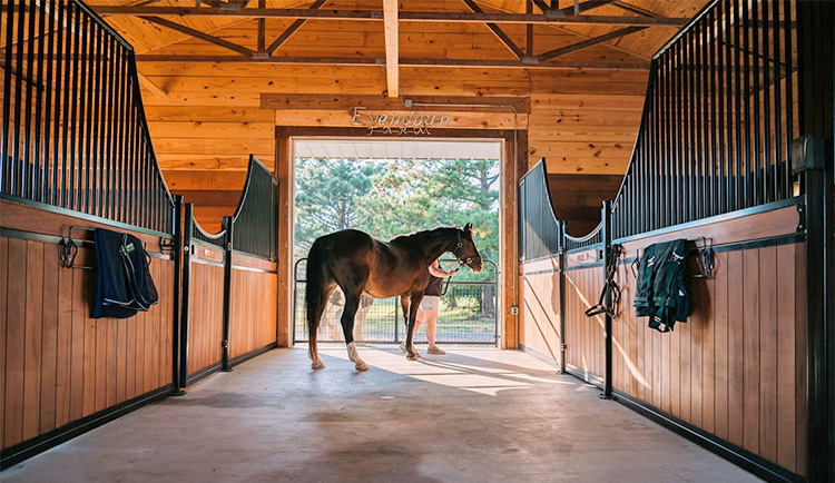 Sterling Equine custom horse stalls installed in a barn