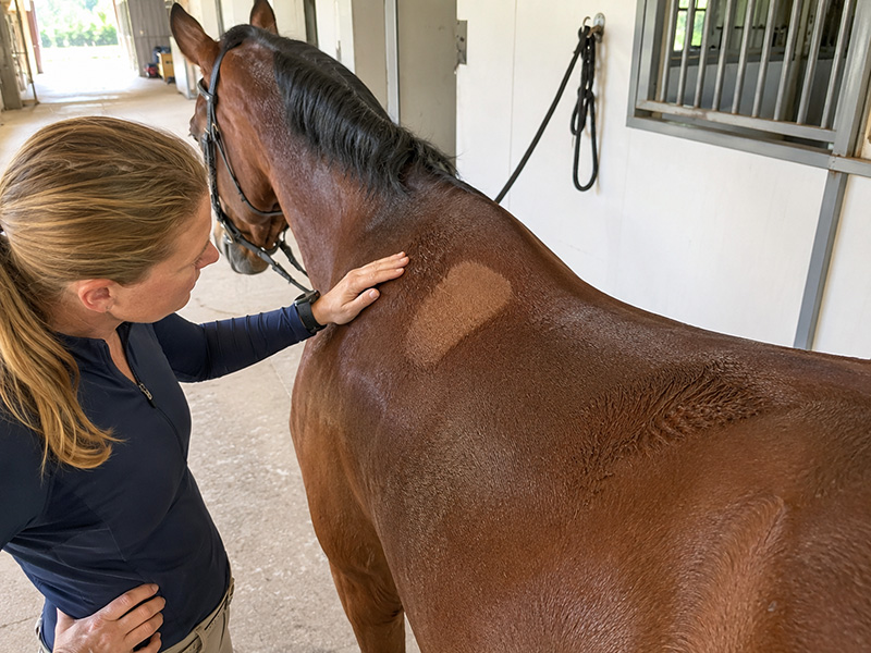 saddlefitdryspot