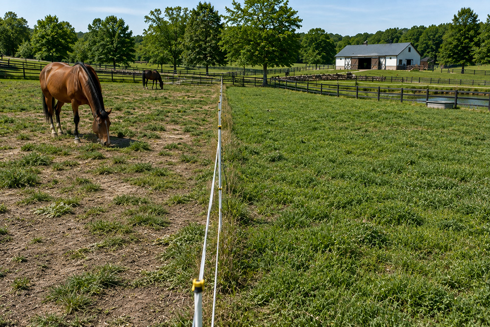 pastureartfencing