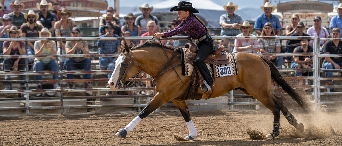 winartcompeting