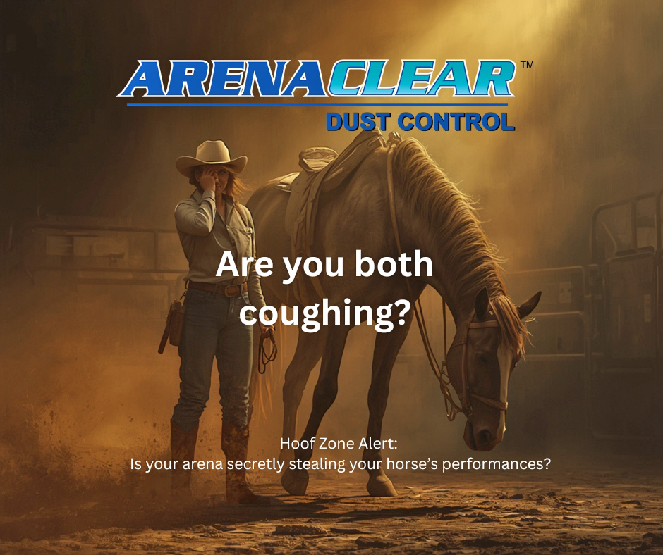 A horse looking out of its stable stall with a dusty indoor riding arena visible in the background, illustrating equine respiratory dust exposure.