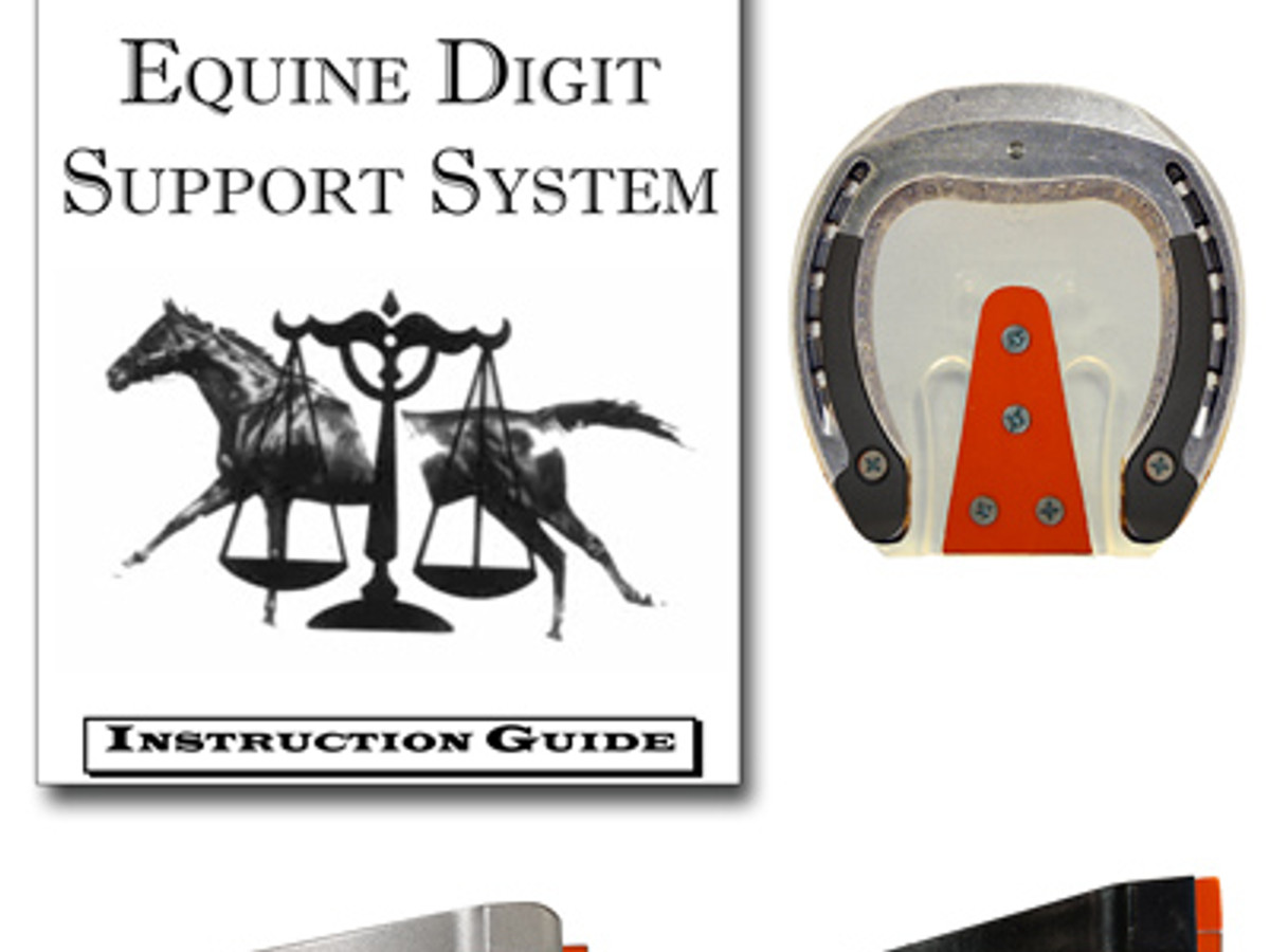 Top-down view of an assembled EDSS therapeutic shoe with the orange frog-support insert and screws mounted on the hoof pad