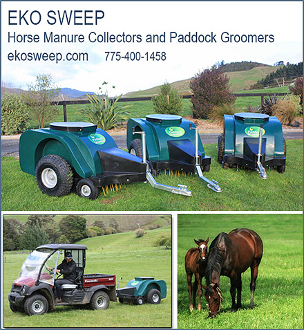 Eko-Sweep
