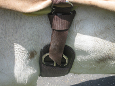 El Compañero bareback pad with feather brand front center marking