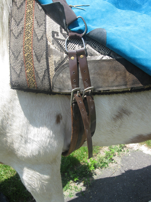 El Compañero English girth system with Ohiothane coated nylon billets