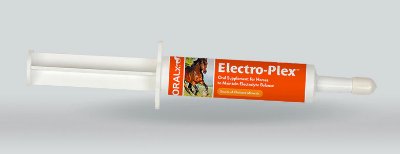 Electro-Plex oral electrolyte paste tube for horses by OralX Corporation
