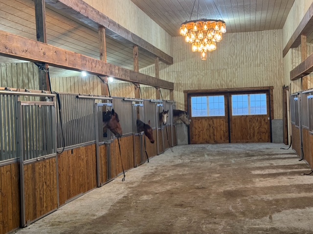 Installed stainless steel horse stall system in a Minnesota barn by Elmendorf Manufacturing