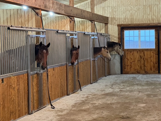 Polished stainless steel horse stall fronts handcrafted by Elmendorf MFG