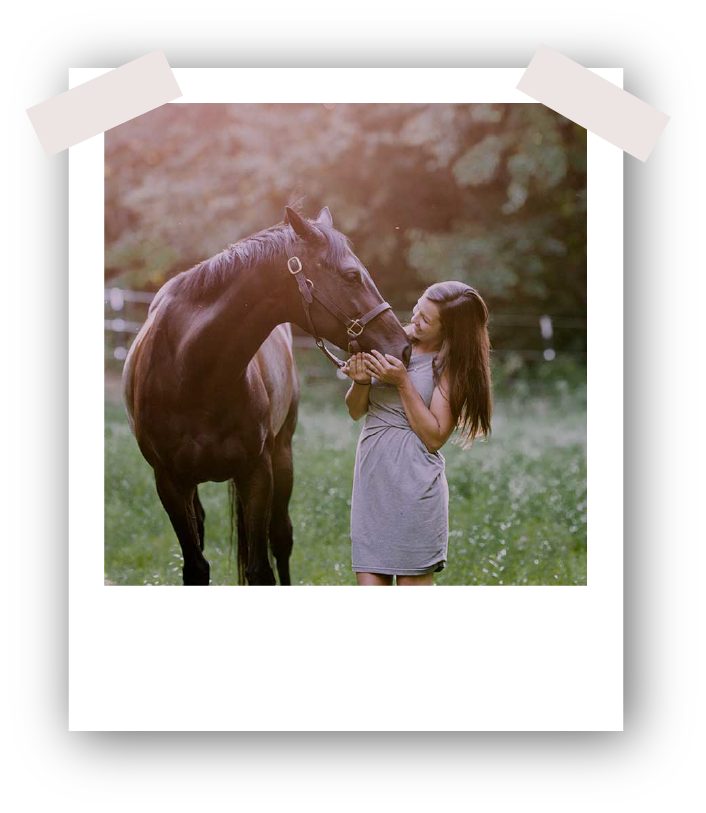 Alicia of Equestrian Accounting greeting a dark horse in a sunlit field