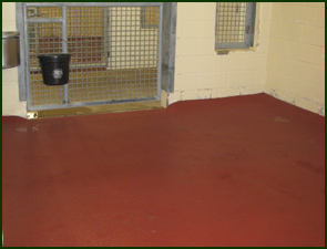 Animal pen with a seamless red Equi-Turf poured rubber floor