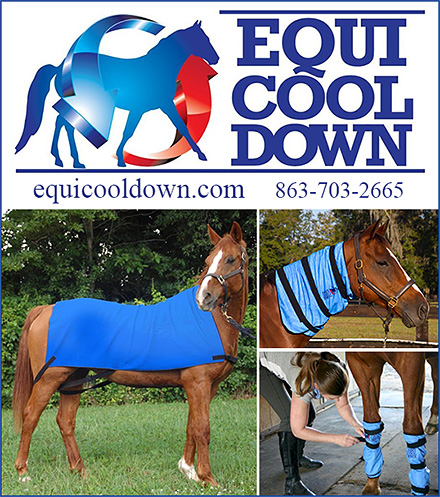 Equi Cool Down™