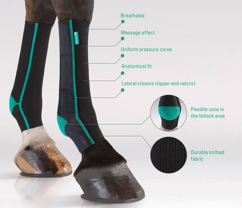Diagram of EquiCrown ACTIVE compression bandage features including breathable knit, anatomical fit, flexible fetlock zone, and lateral zipper closure