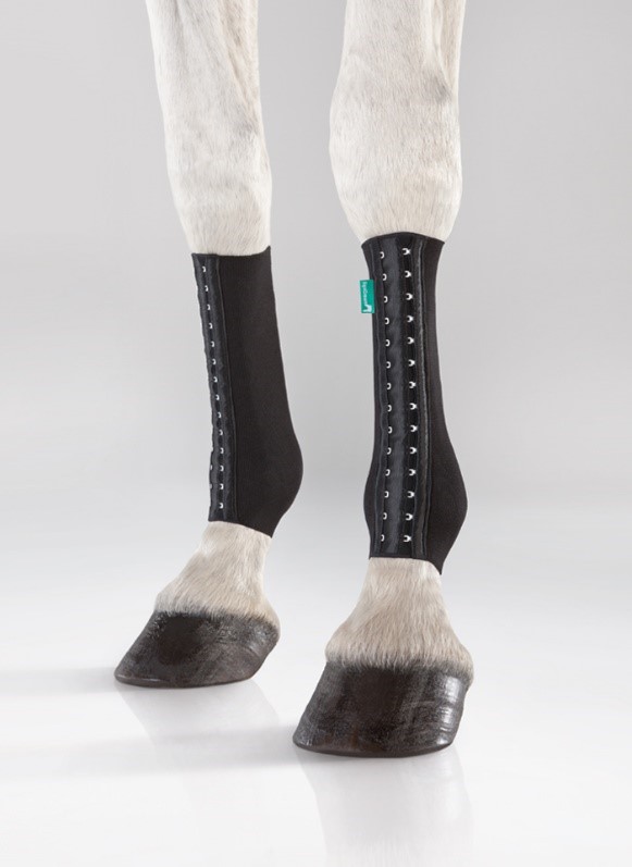 EquiCrown FIT compression bandages fitted on a horse's lower legs, showing the clean black knit profile and lateral hook closure