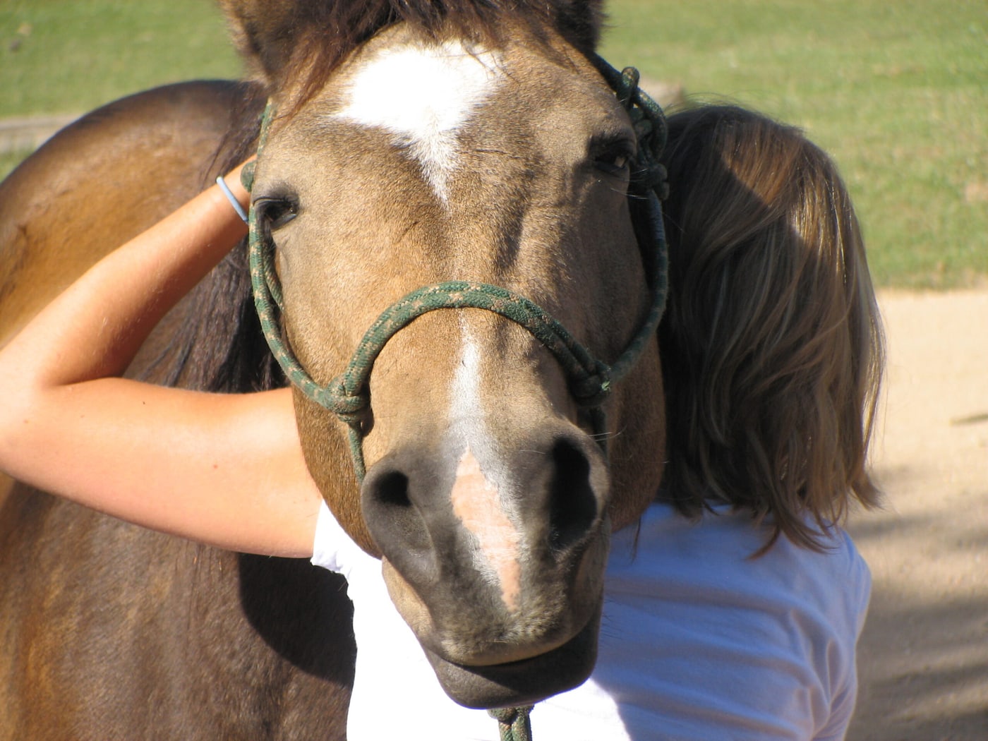 Equine Align Academy student standing quietly with her arms around a dun horse's head, practicing the listen-and-connect approach