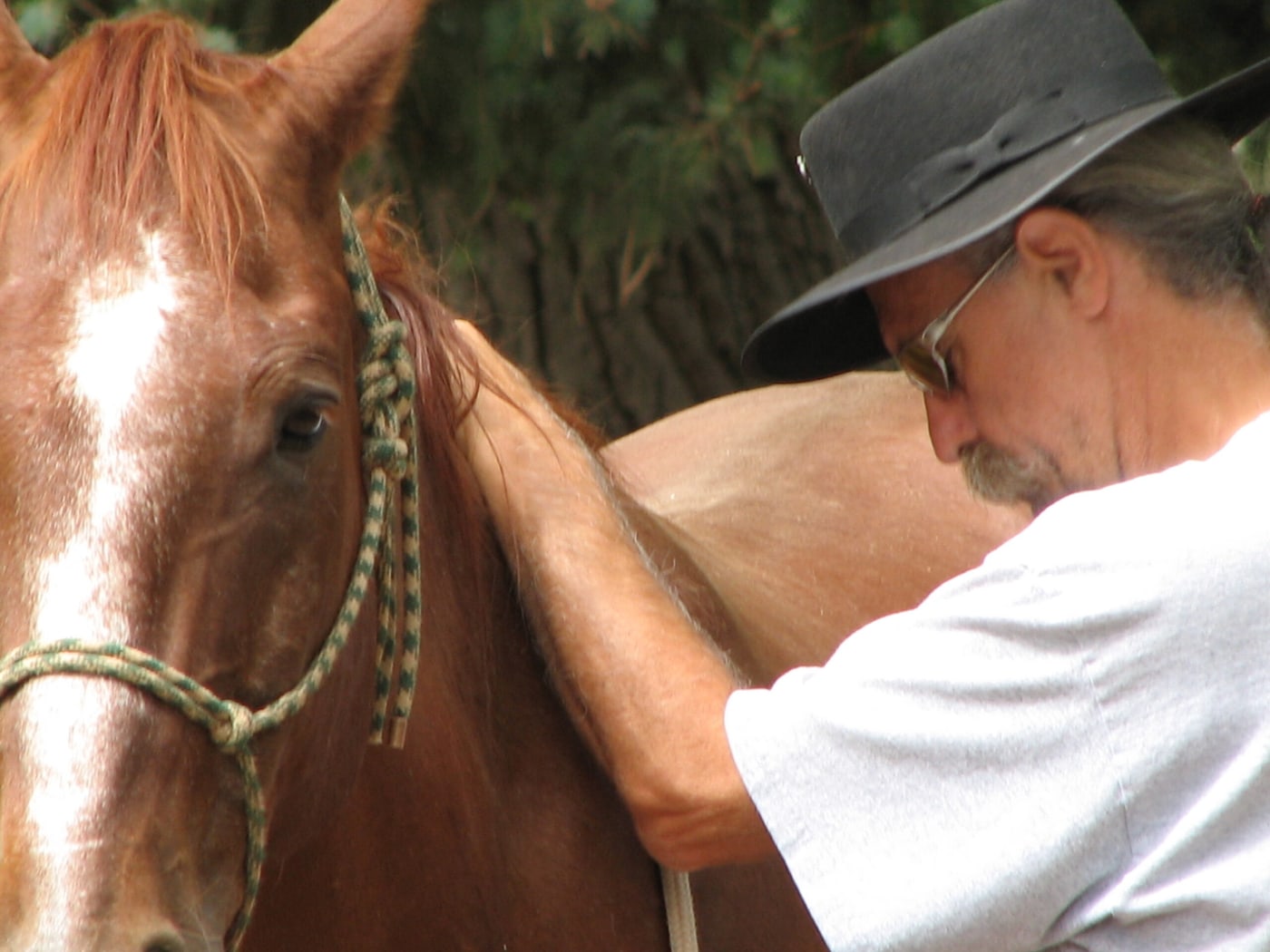 Equine Align Academy student in a wide-brimmed hat working along the neck of a chestnut horse during a bodywork session