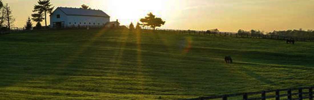 Equine-Audio arena sound system calling horses home with music
