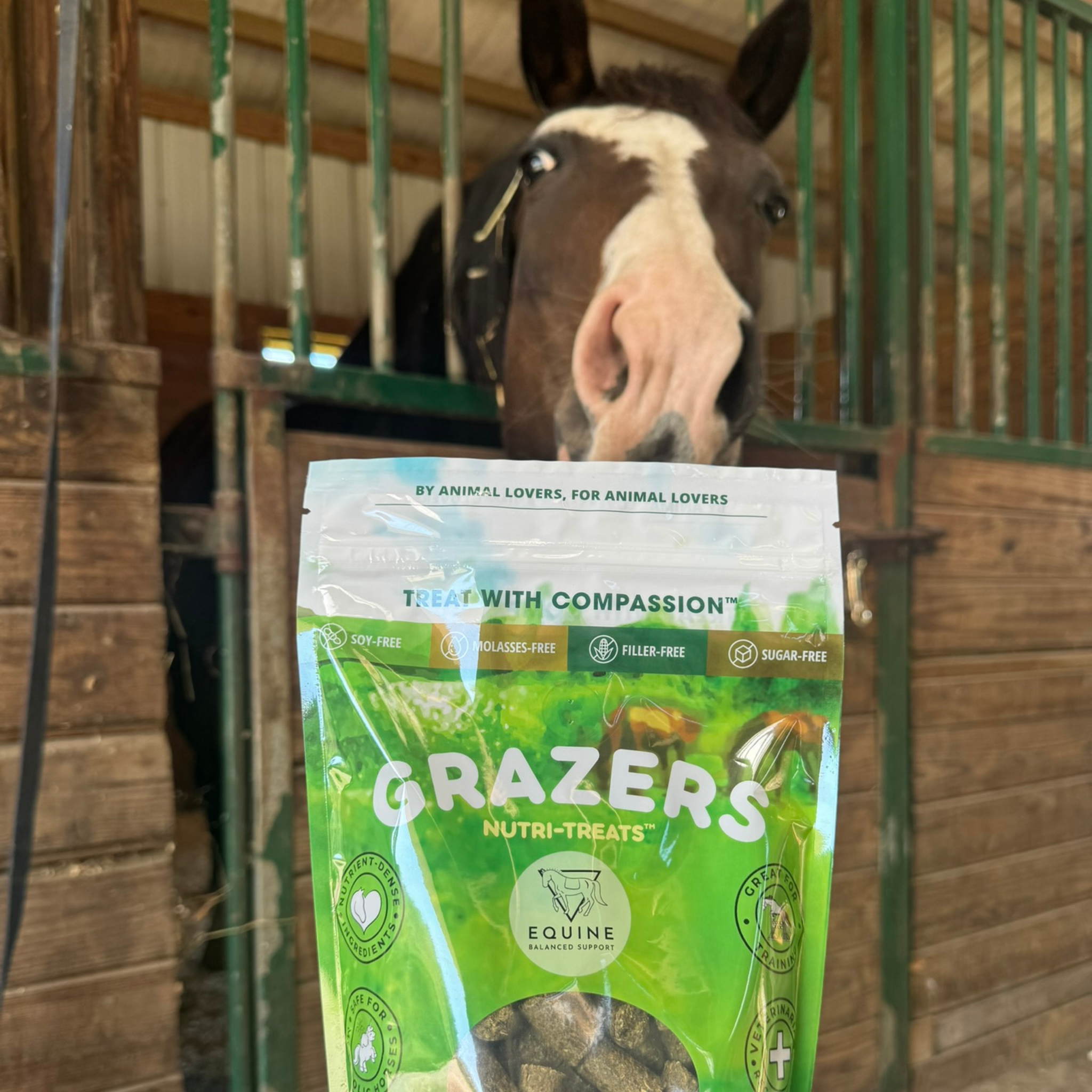 Curious horse enjoying GRAZERS forage-based healthy treats from Equine Balanced Support