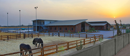 Equine Facility Design four-phase horse barn design process