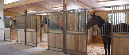 Equine Facility Design equestrian architecture and facility design services