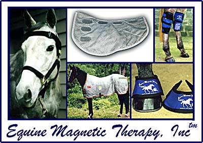 Equine Magnetic Therapy Under Pad and BIOFlex magnet products advertisement