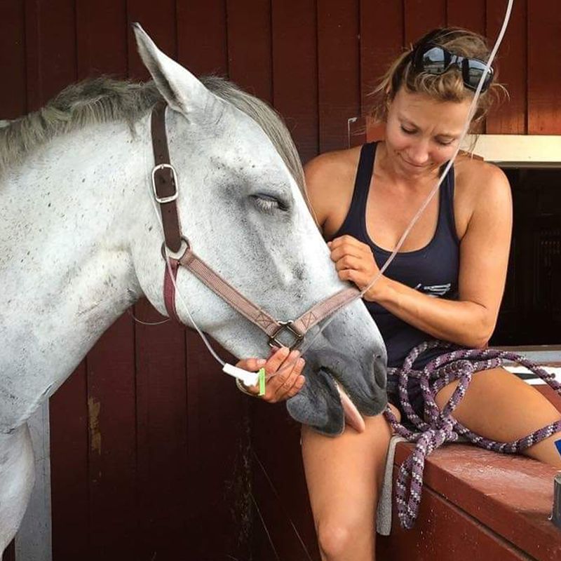 Frosty the PRCA barrel racing horse featured in an Equine Podiatry Solutions laminitis case study