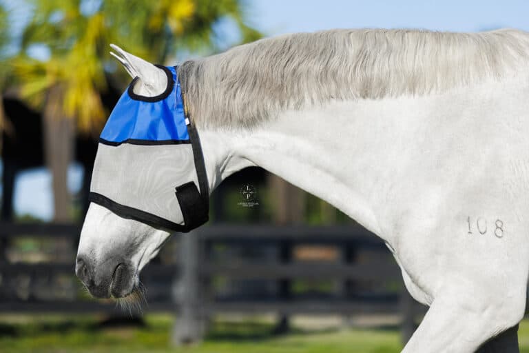 Detail of the UV-blocking mesh shielding a horse's eyes and face from the sun