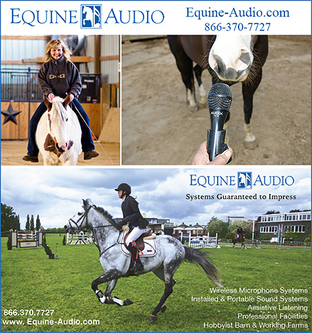 Equine-Audio