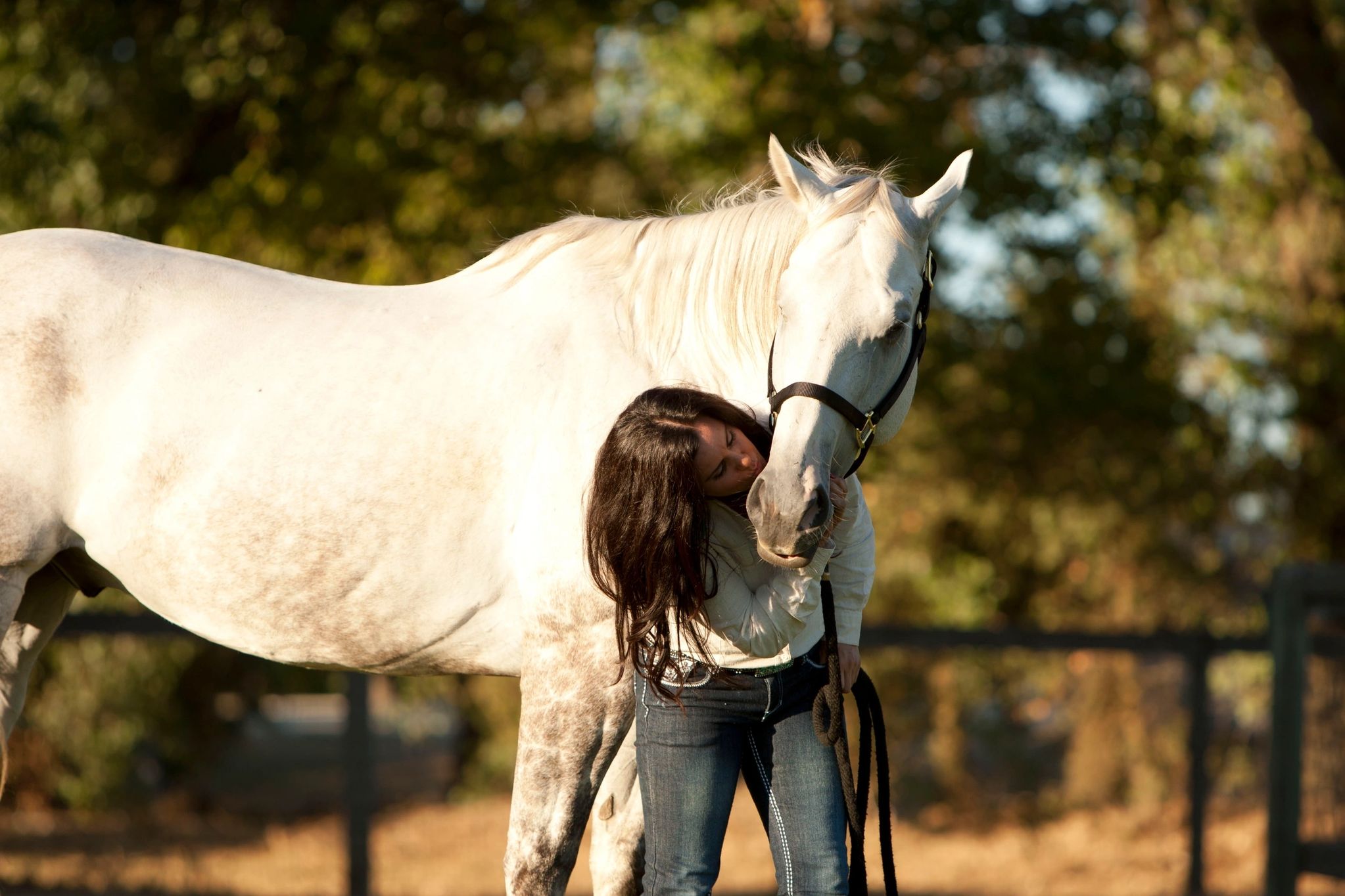 Horse receiving Electro-Acuscope therapy with EquinEssence in Reno Nevada