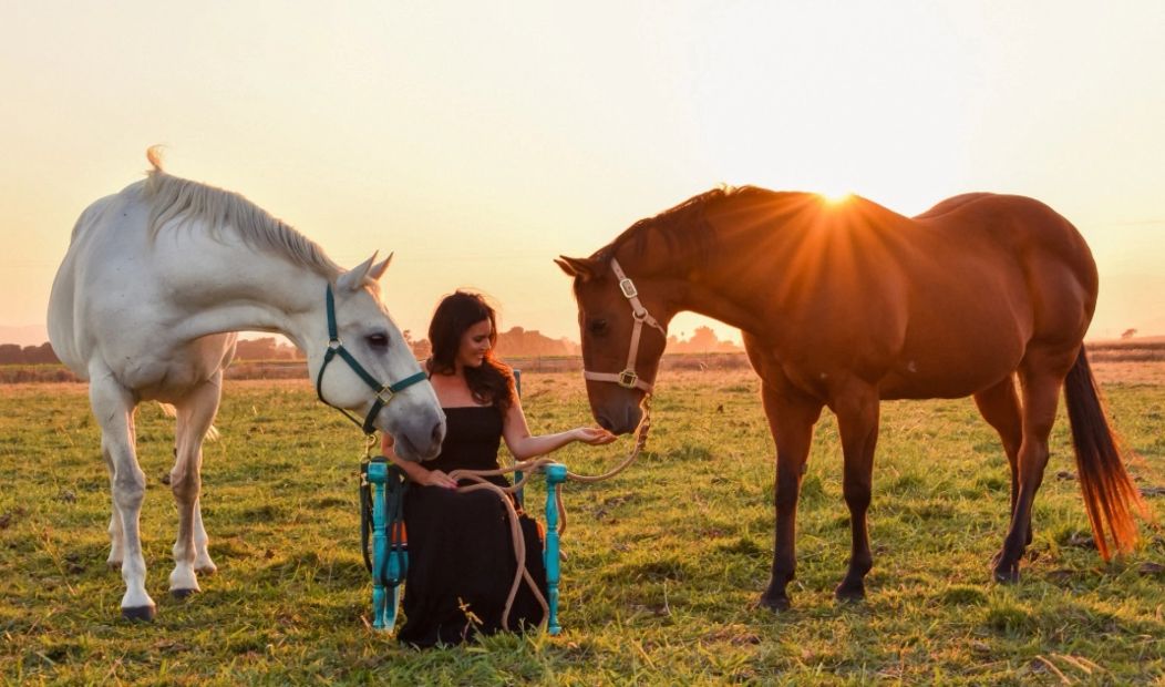 Molly Wells of Equinessence with two horses at sunset