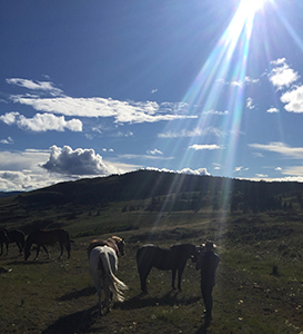 God Rays light over the herd at Gateway 2 Ranch, Equinisity Retreats Kamloops BC