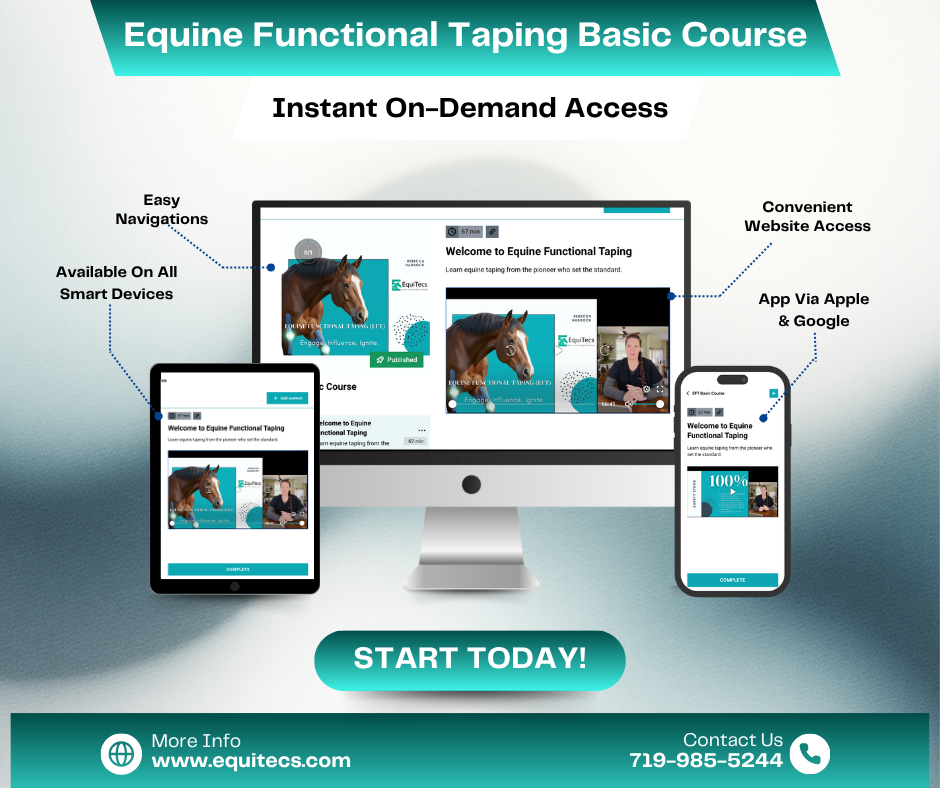 EquiTecs EFT Basics Course education materials