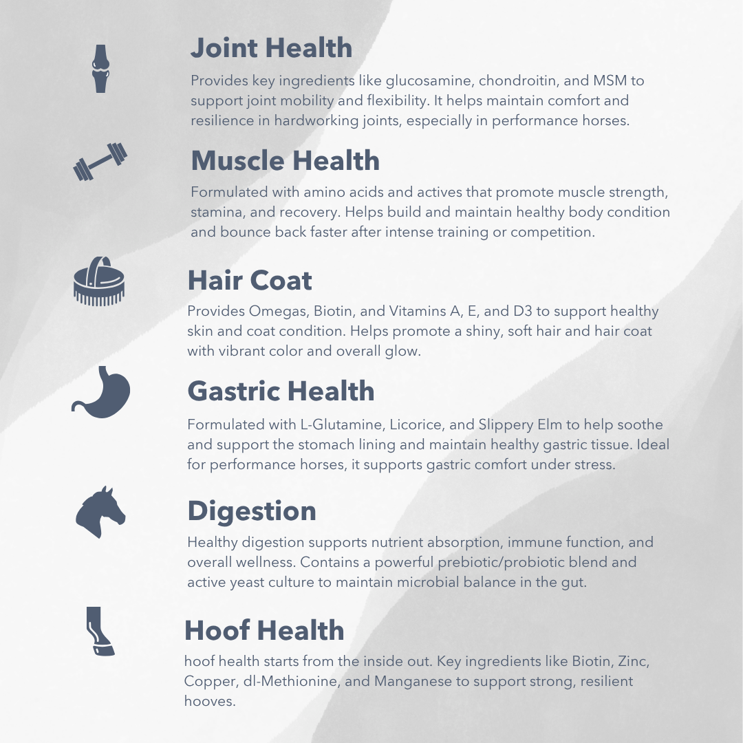 Infographic listing the six Exceed 6-Way support areas—joint, muscle, hair coat, gastric, digestion and hoof health—with the key ingredients for each
