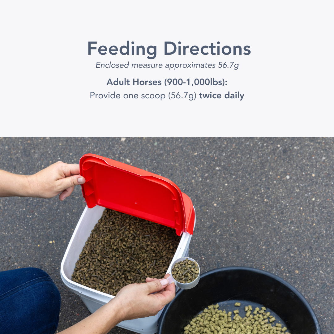 Exceed 6-Way feeding directions four ounces daily two scoop dosage chart