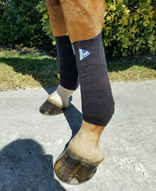 EyeOn Equine Care Far Infrared Leg Wraps medical-grade foam for horses
