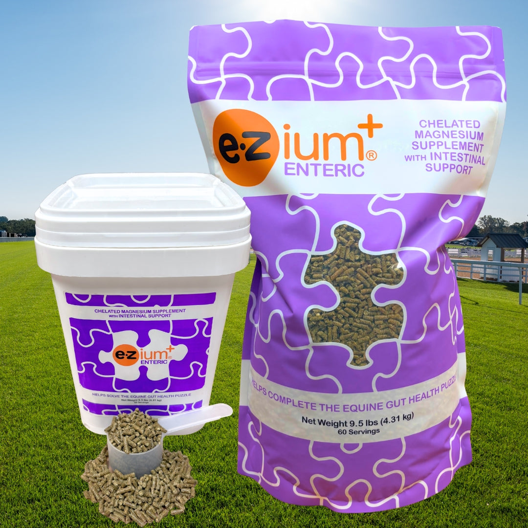 EZium Plus Enteric coated magnesium horse supplement