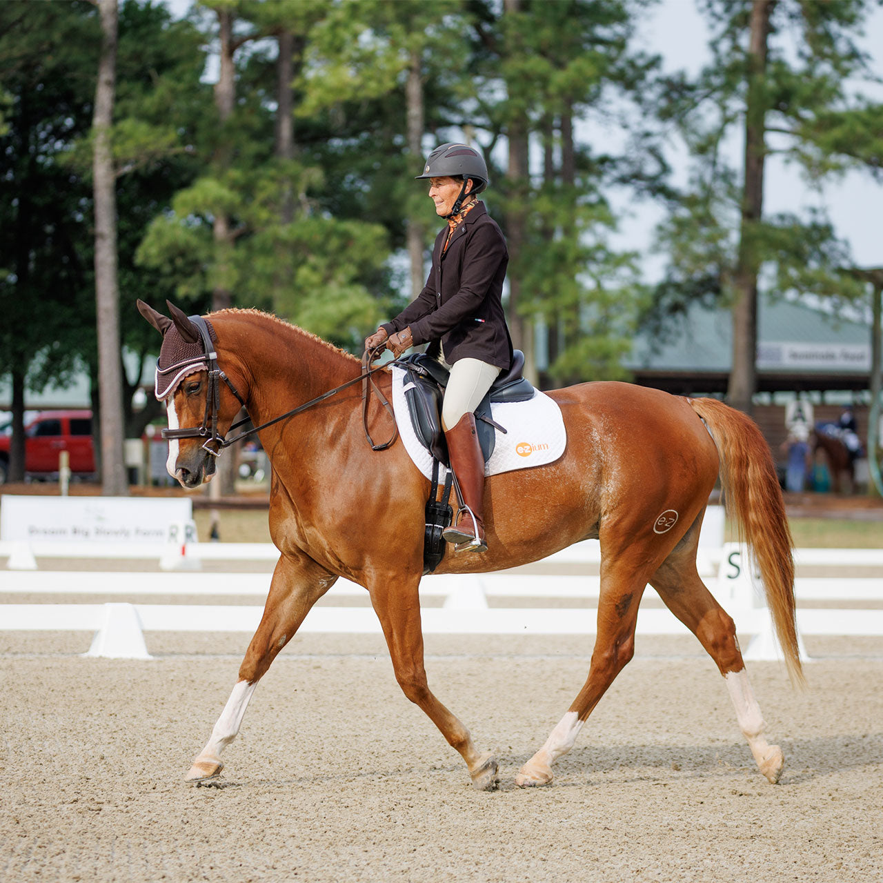 EZium sponsored horse and rider trotting in competition