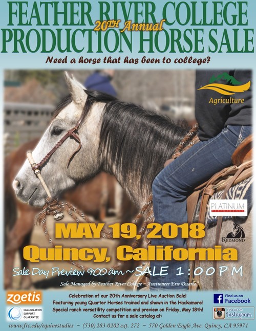 Feather River College Plumas Sierra Production Horse Sale promotional flier