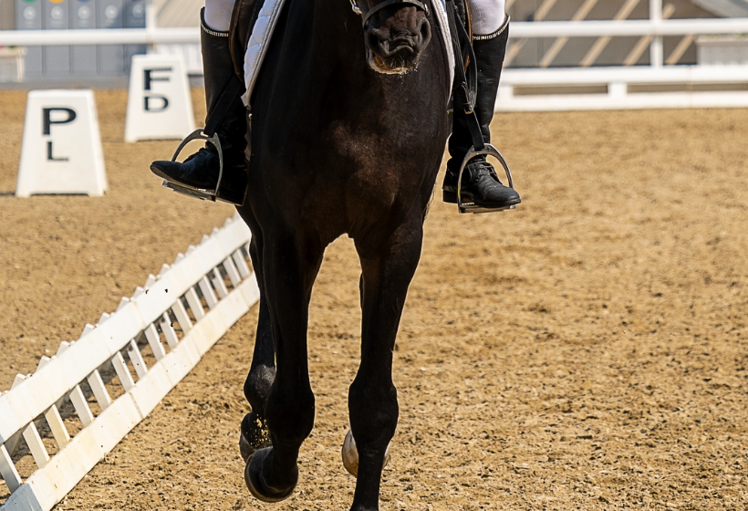 Fibar engineered wood fiber footing in an outdoor horse arena
