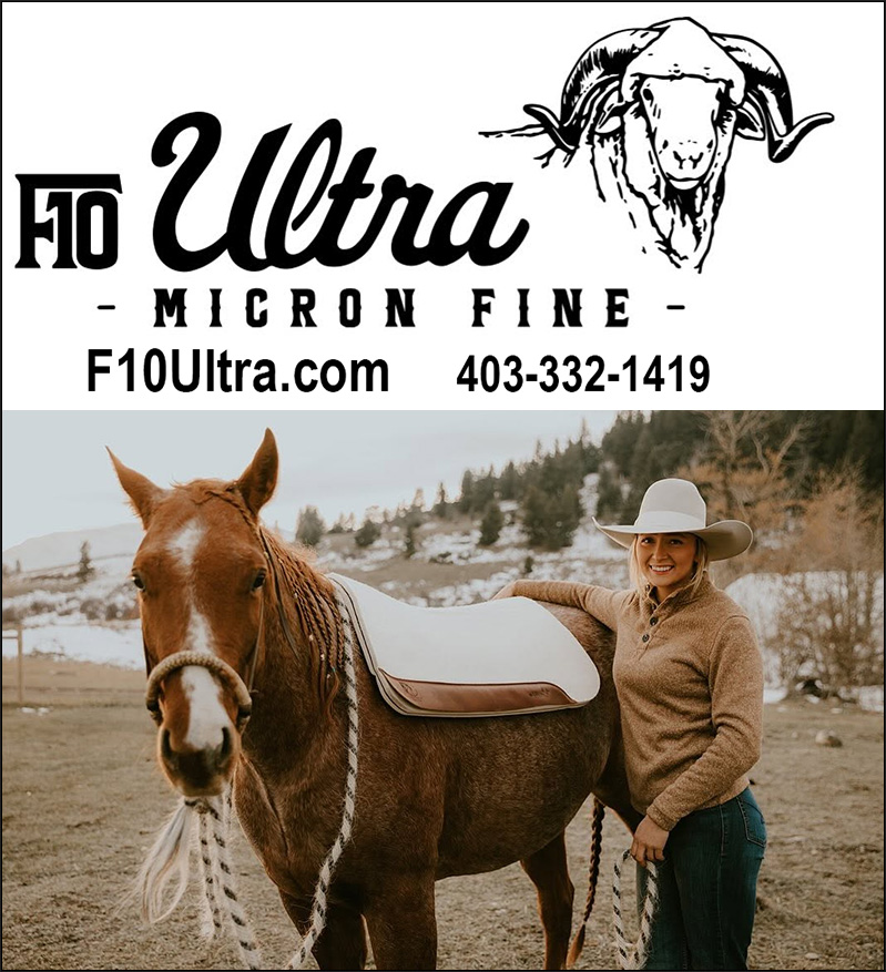 Happy Valley Saddle Pads — Tack (Wool saddle pads built for comfort without compromise)