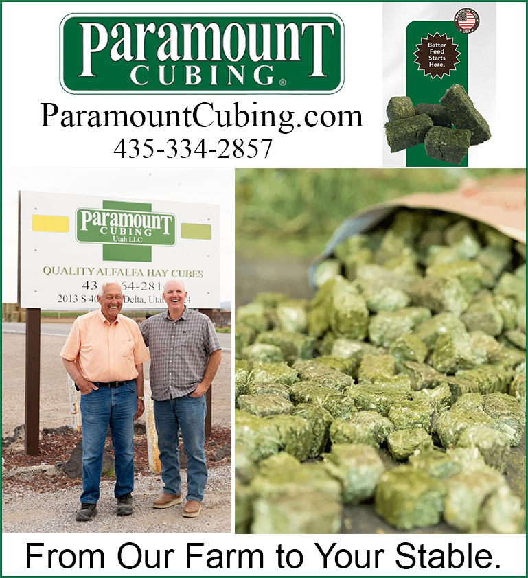 Paramount Cubing — Feeds For Horses (Farm-fresh horse forage with less waste and easier feeding)