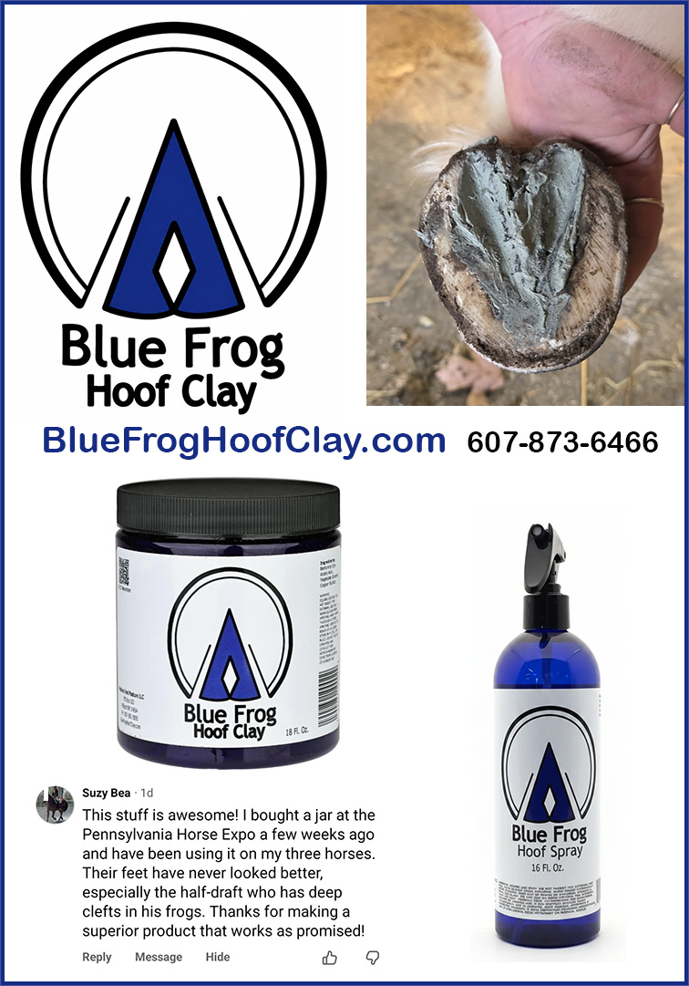 Blue Frog Hoof Clay — Health (Hoof care made for mud muck thrush and everyday barn life)