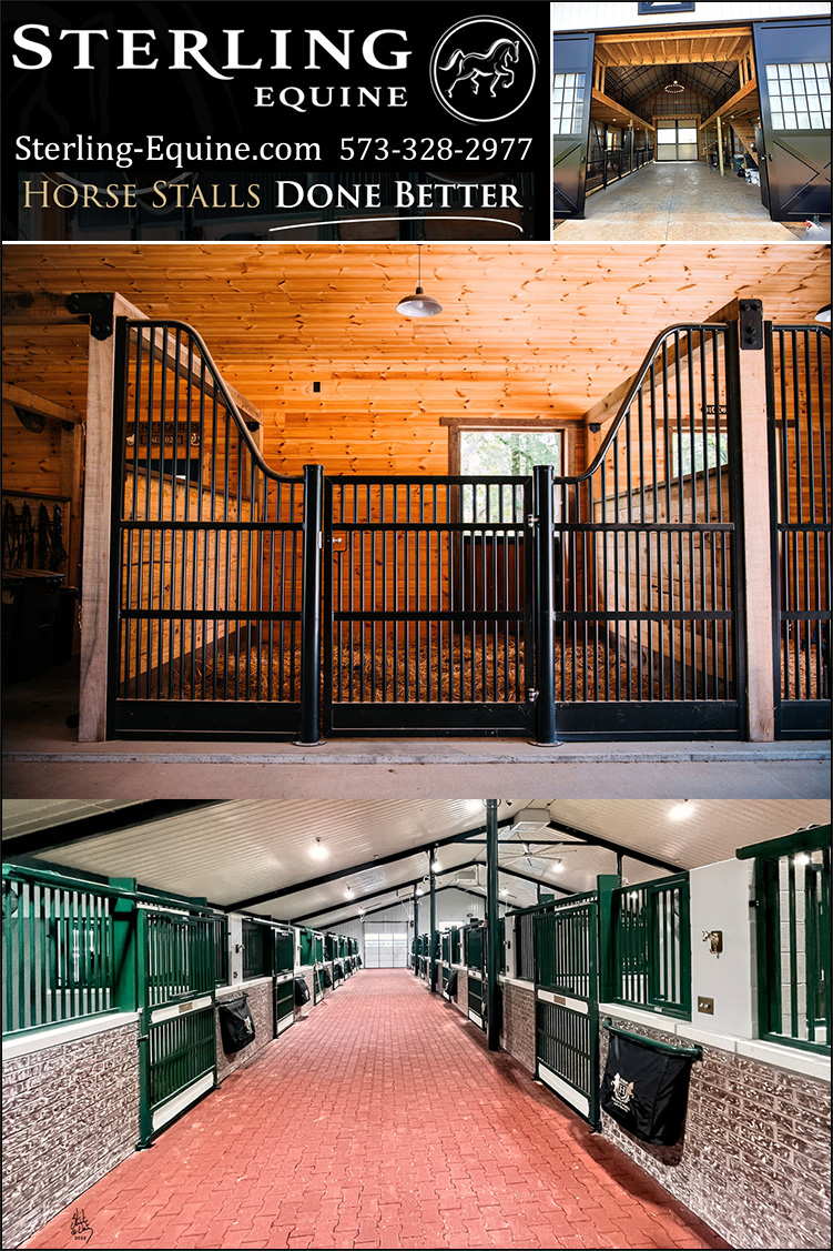 Sterling-Equine Luxury Horse Stalls, — Barn Accessories (Custom Horse Stalls by Sterling Equine | Made in USA)