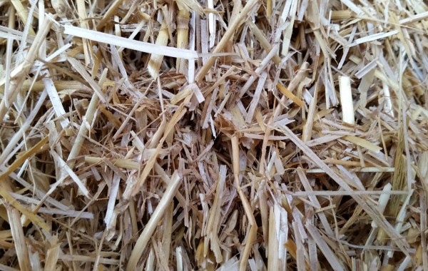 Flack Farms baled hay product photo