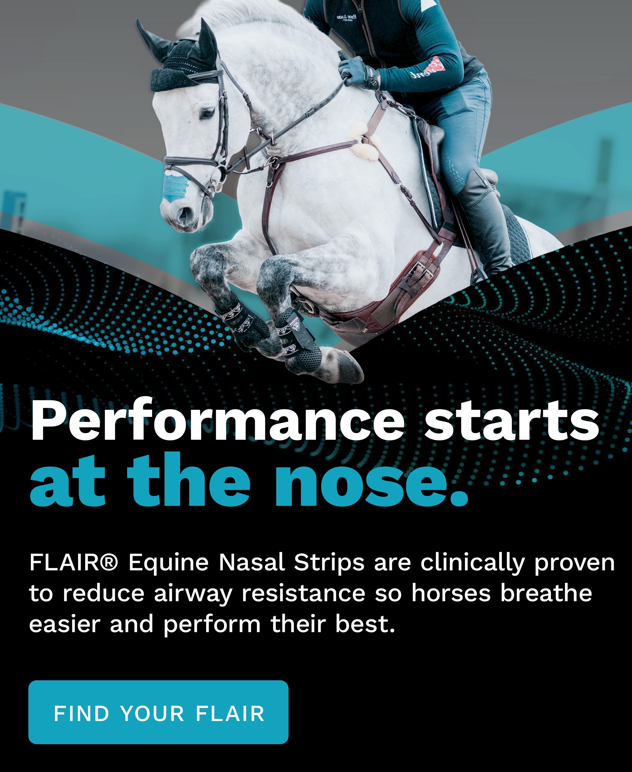 Eventing horse and rider competing while wearing a FLAIR Equine Nasal Strip